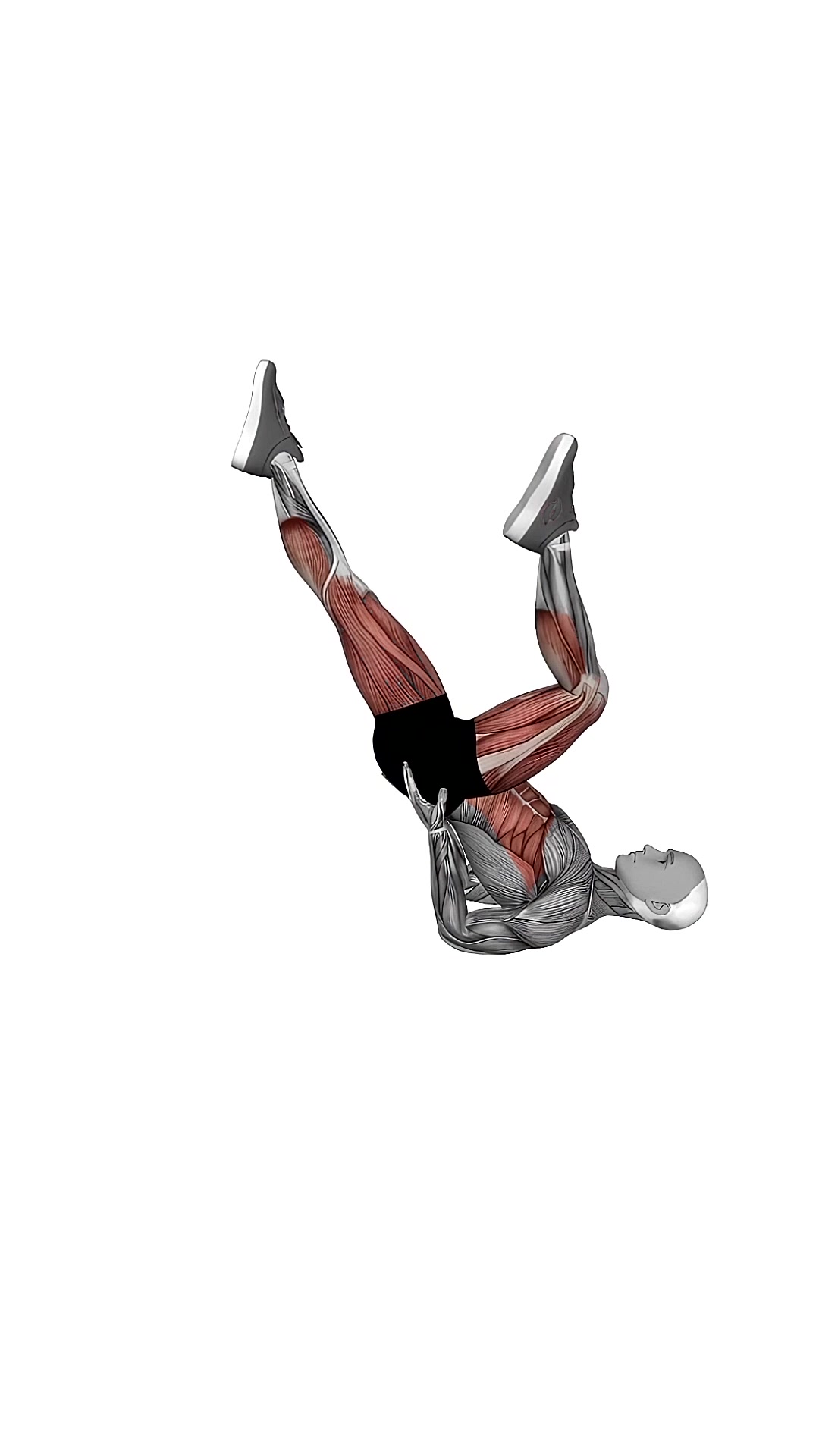 Bicycle Air Legs