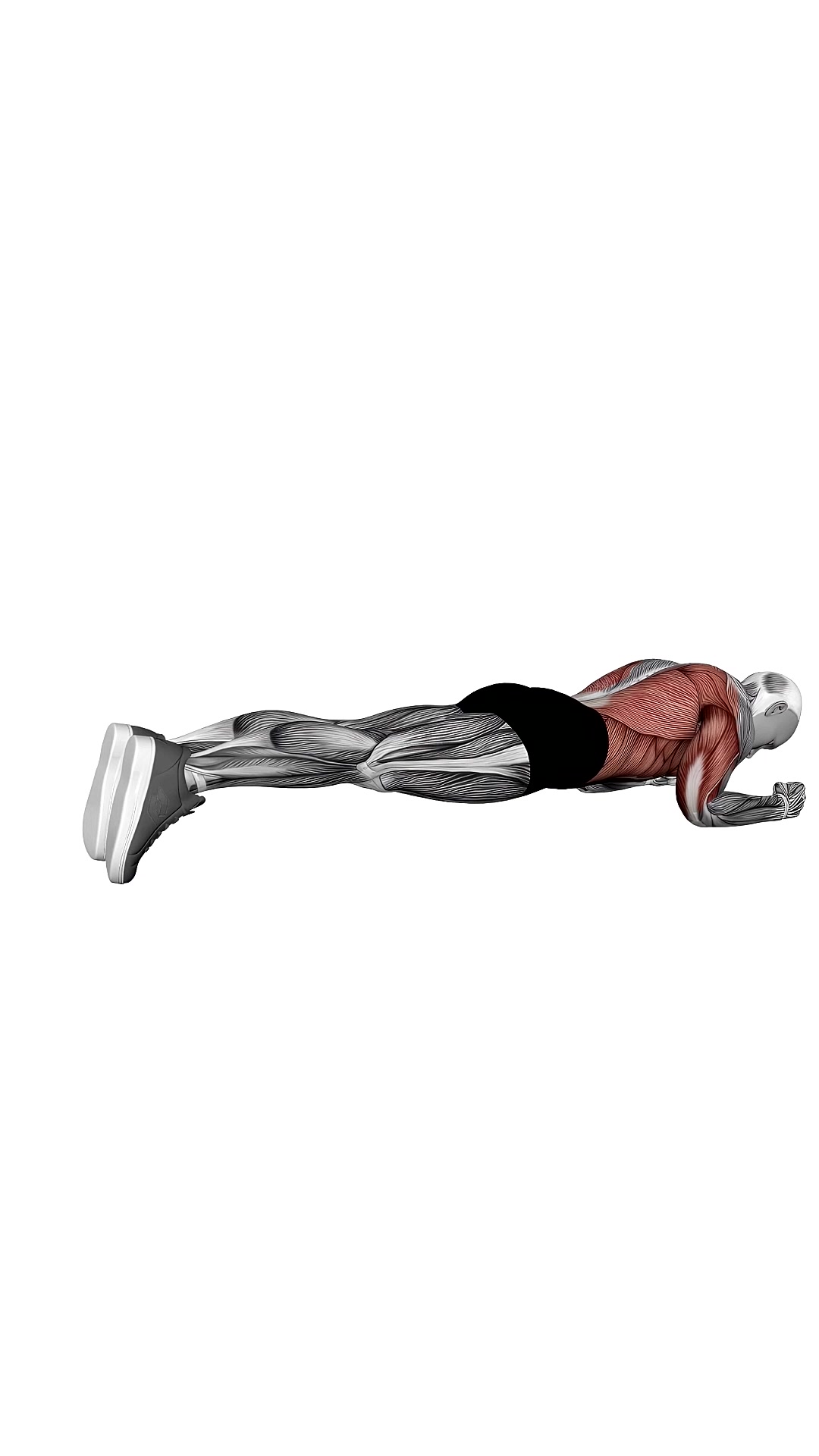 Body Saw Plank