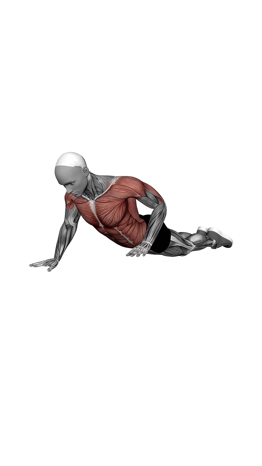Bodyweight Kneeling Push-up Row