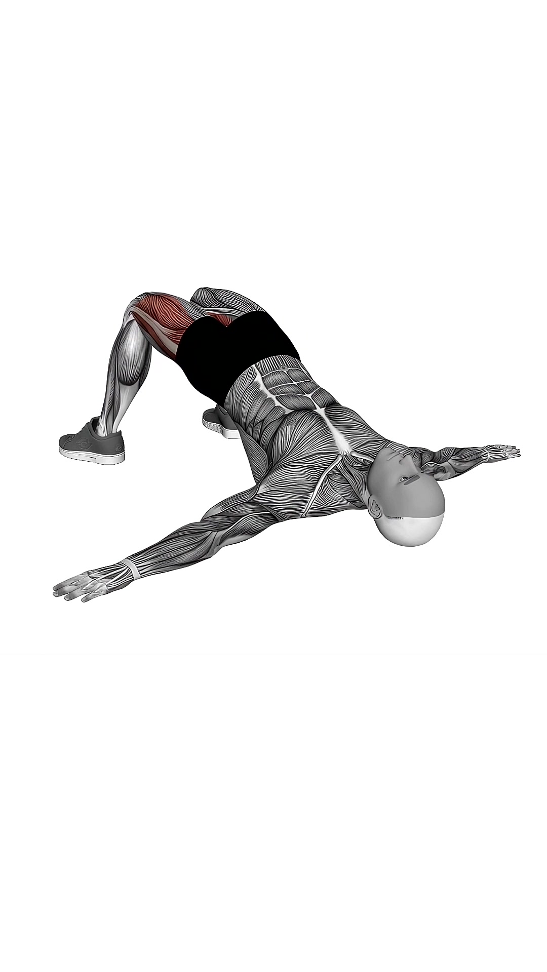 Bridge Hip Abduction