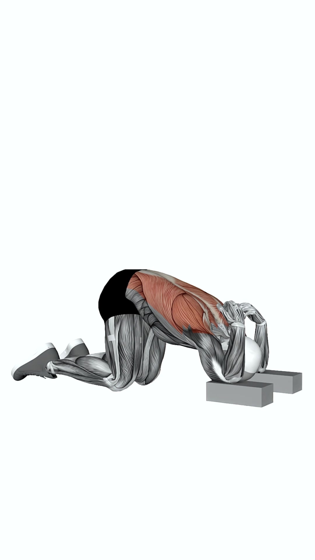 Child Pose Elbows On Block
