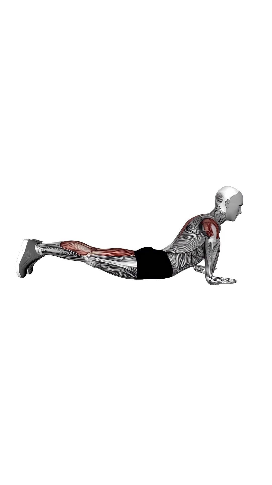 Cobra Full Push Up