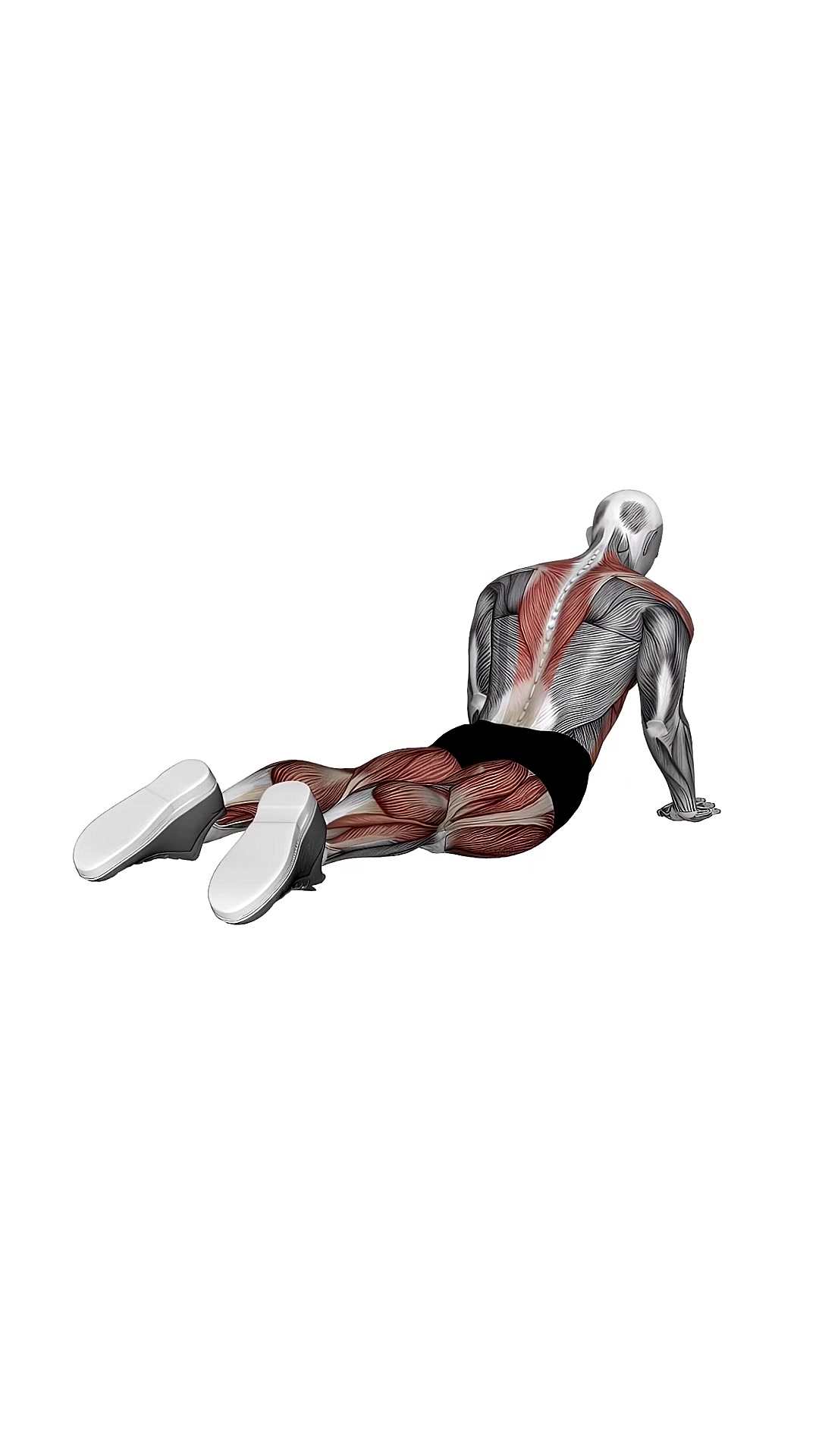 Cobra Side Ab Stretch