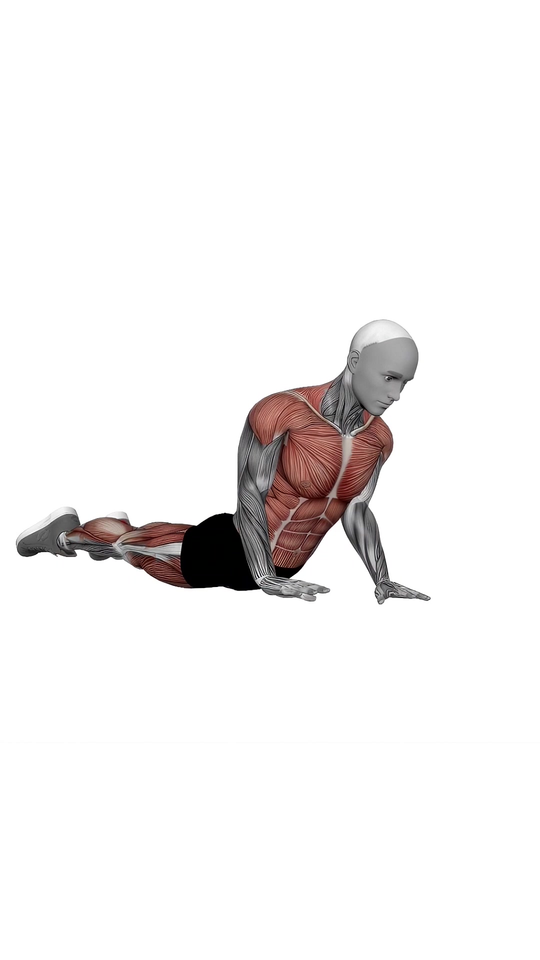 Cobra Yoga Pose Hold