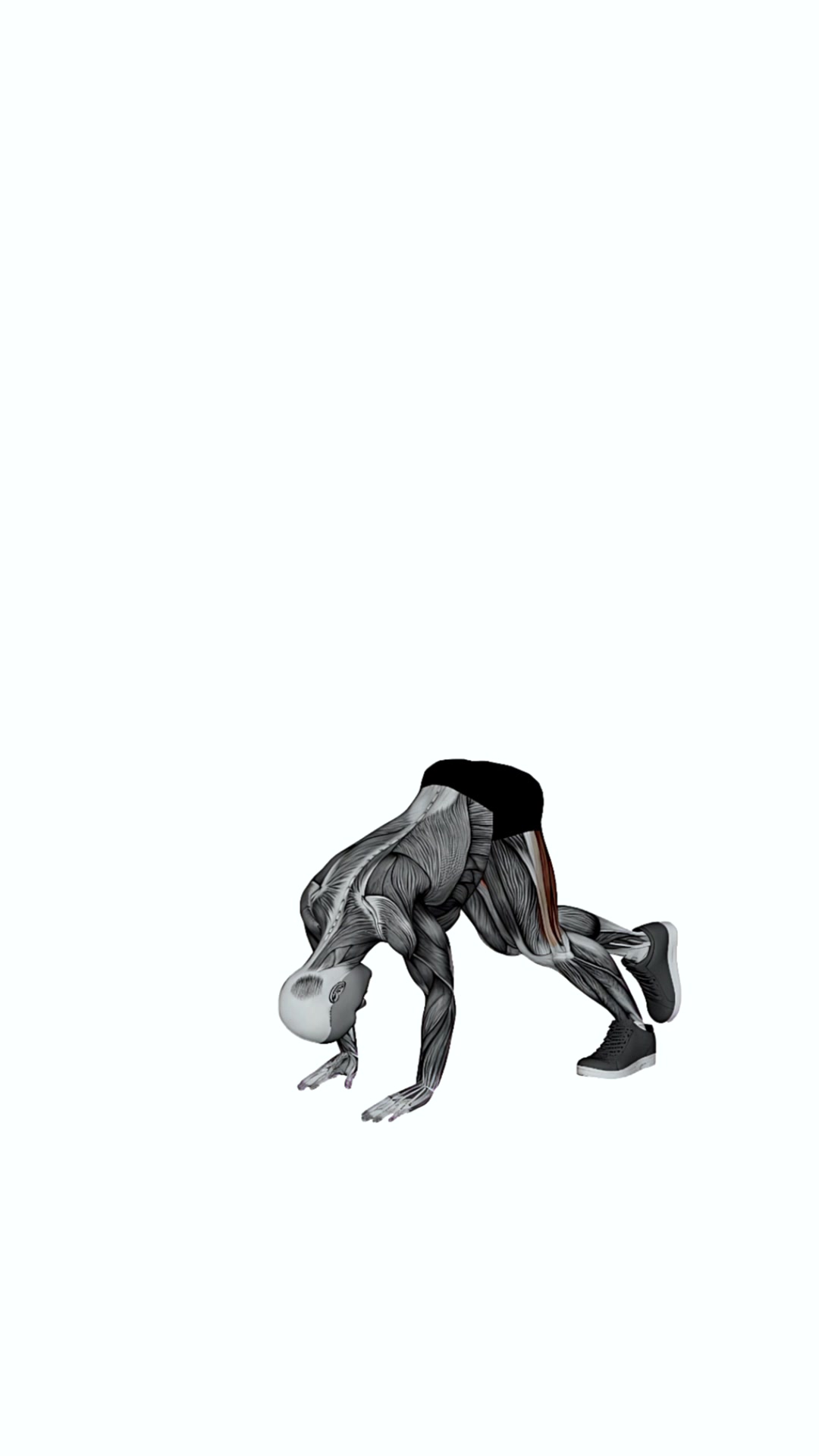 Downward Dog Toe To Heel