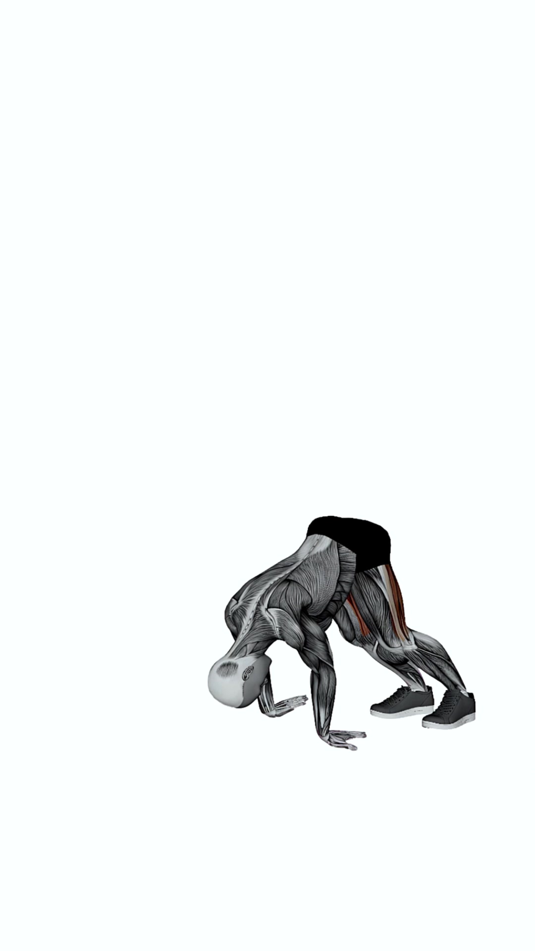 Downward Dog With Fingers Facing Feet