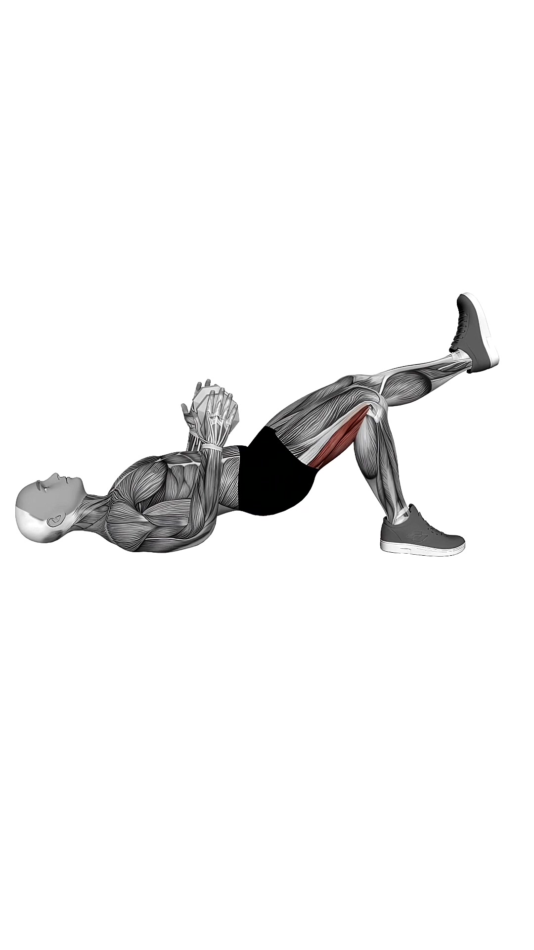 Dumbbell Single Leg Glute Bridge