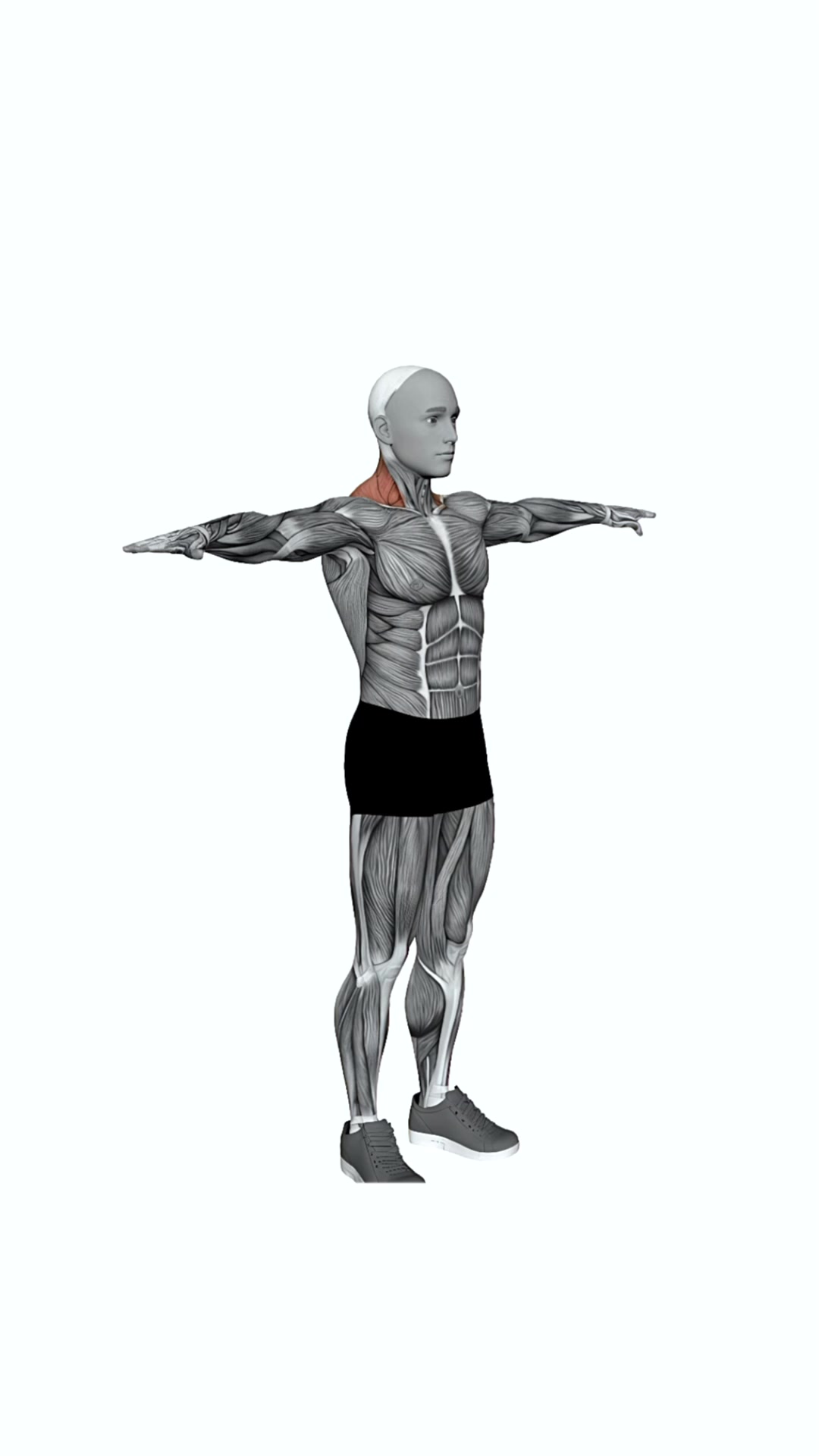 Eagle Arms Chin Into Chest