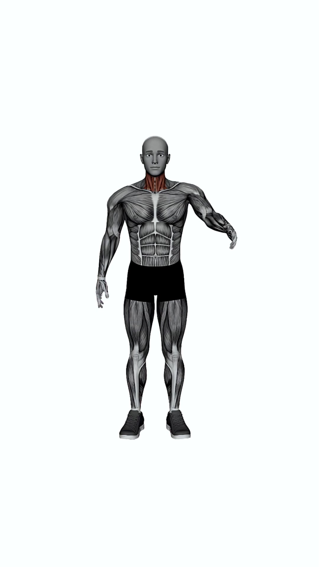 Easy Pose Neck Stretch
