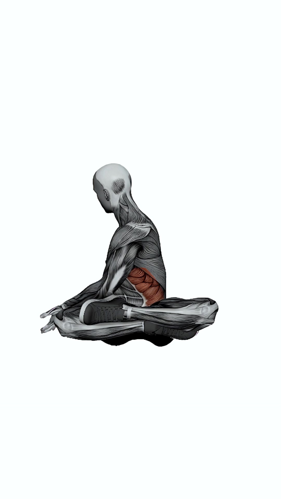 Easy Seated Twist Pose