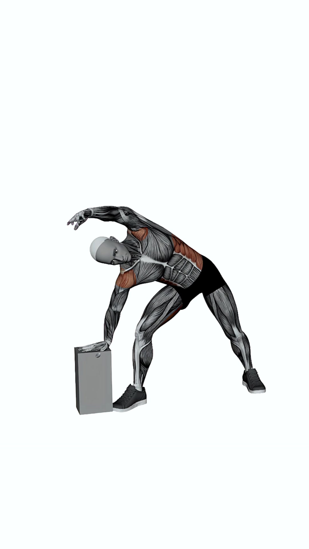Extended Side Angle Pose With Block