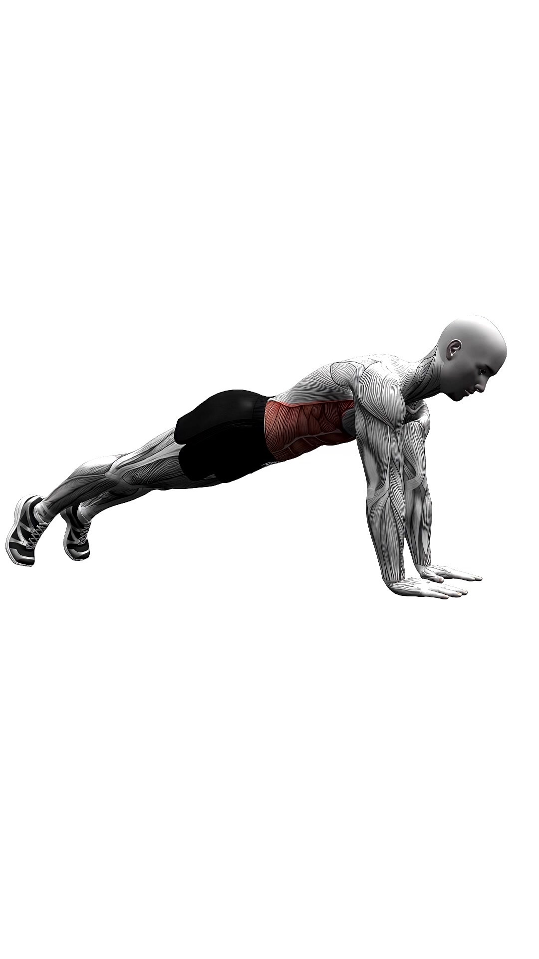 High Plank