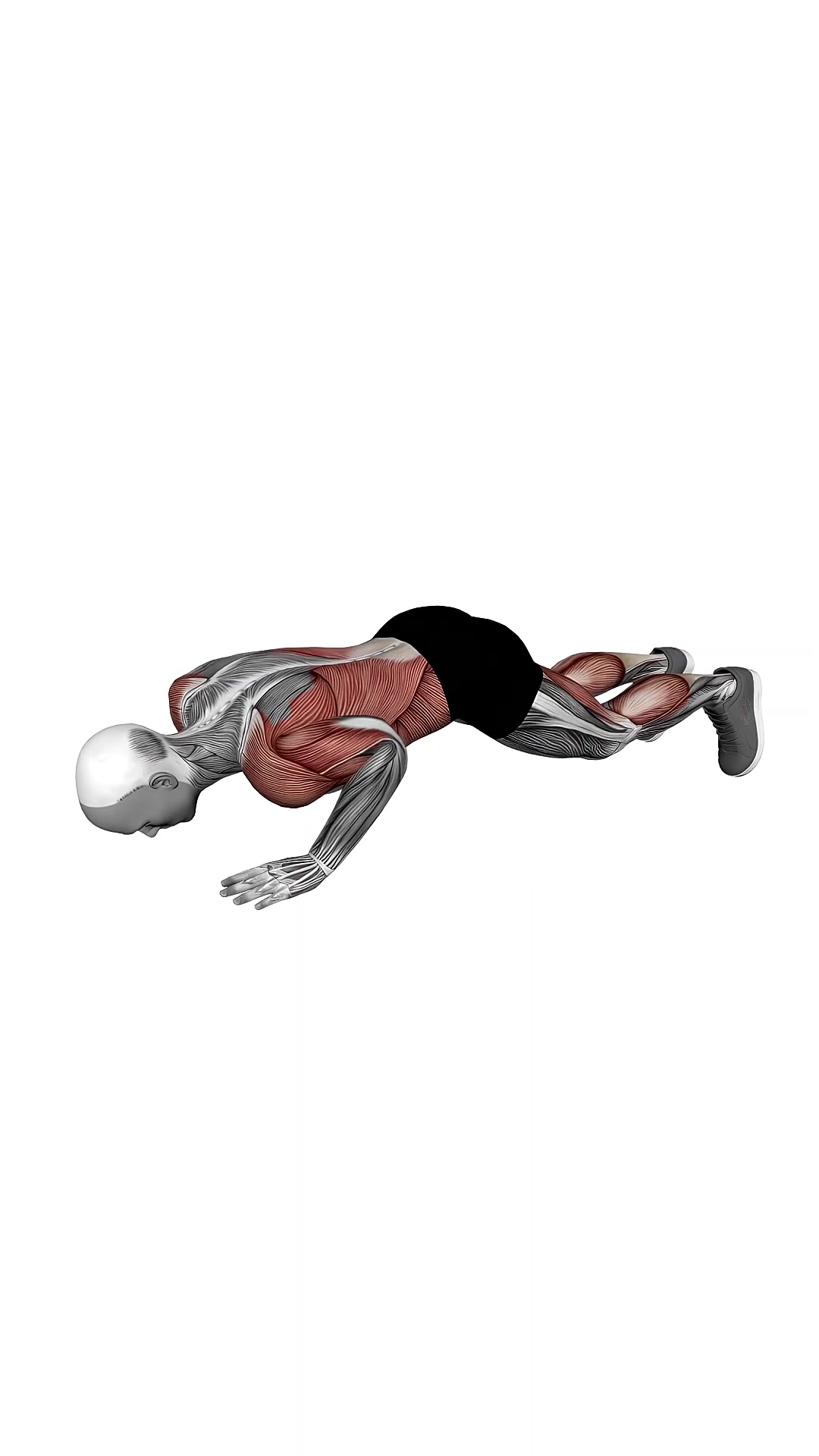 Modified Hindu Push Up