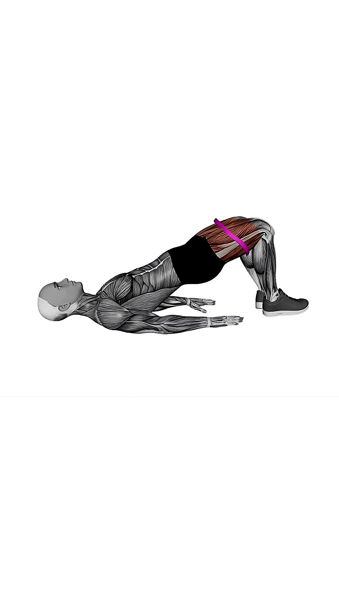 Resistance Band Glute Bridge Abduction