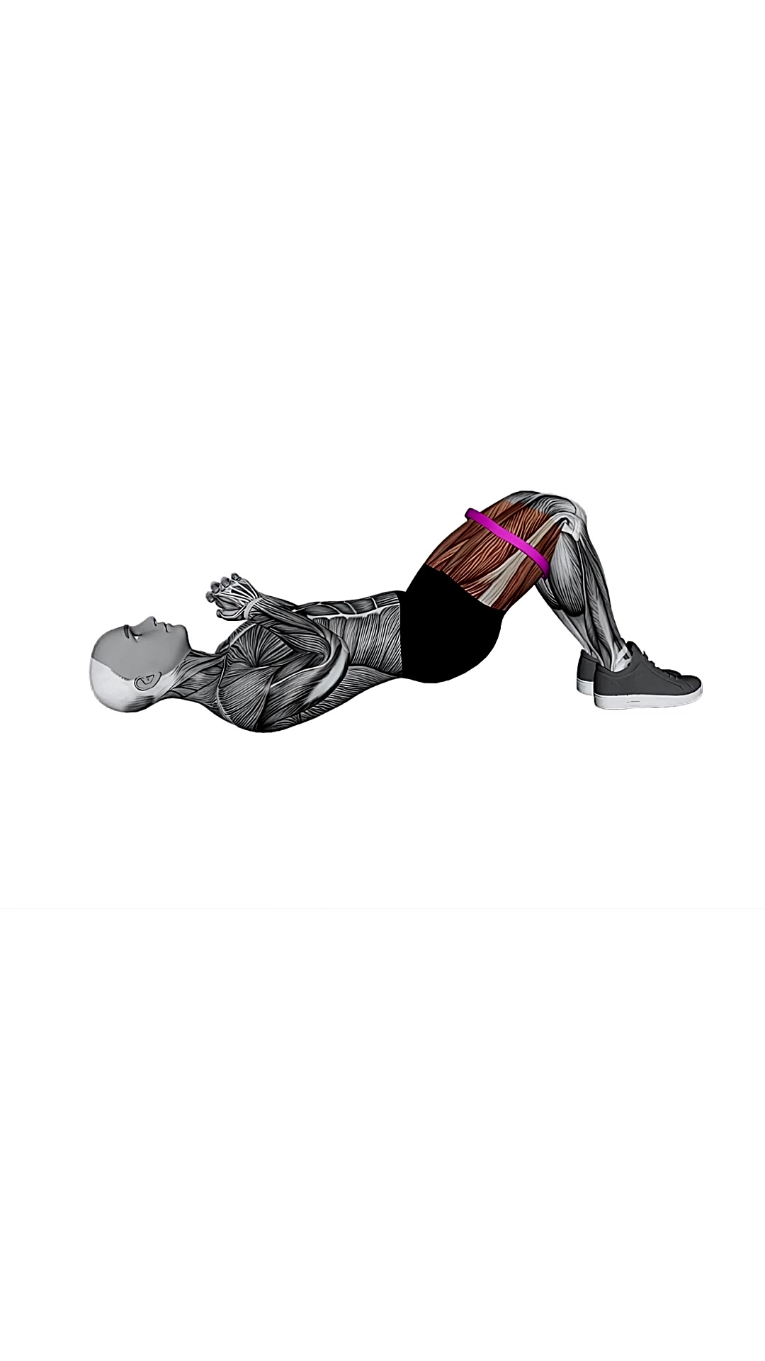 Resistance Band Glute Bridge Version2