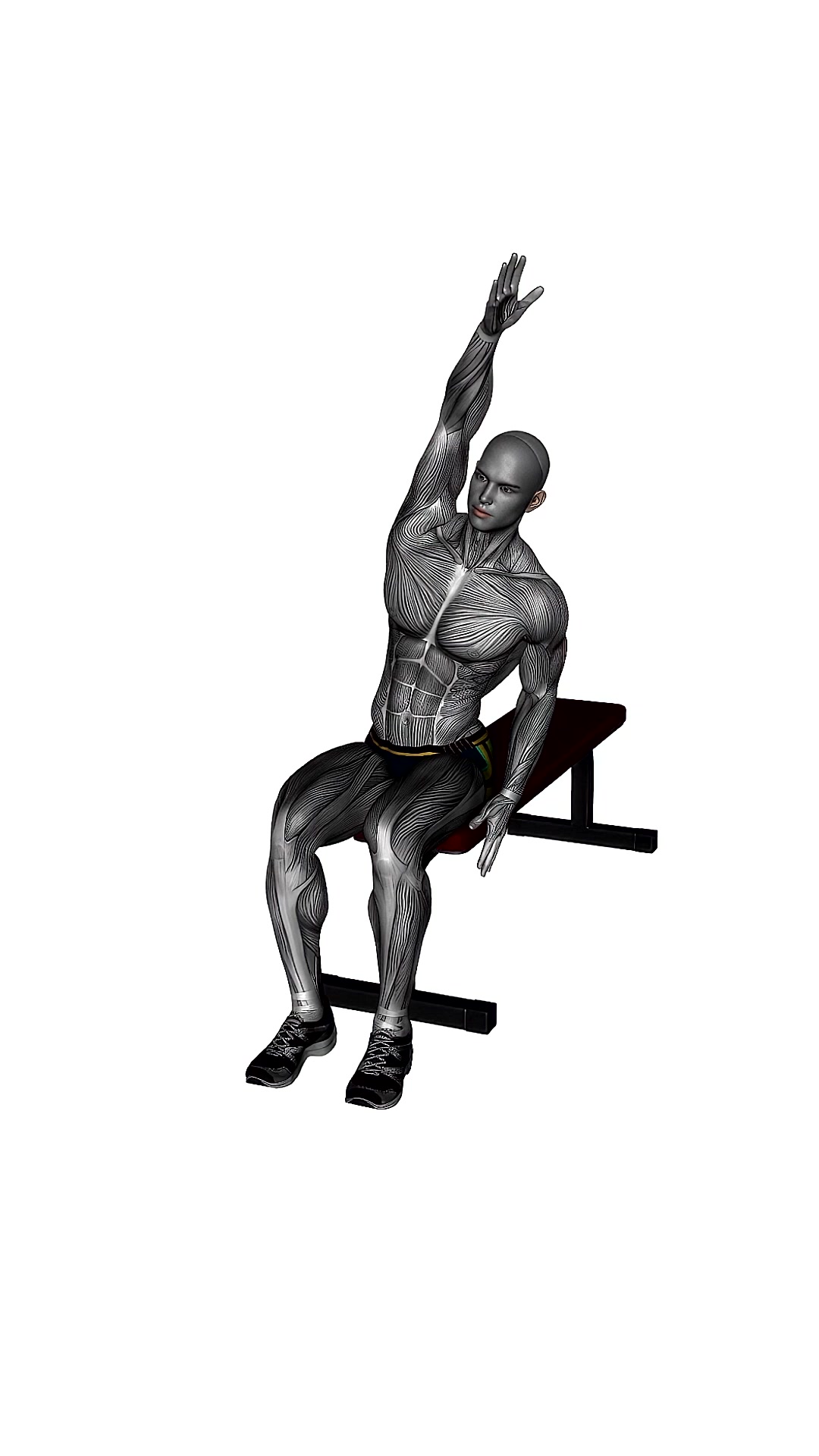 Seated Side Stretch